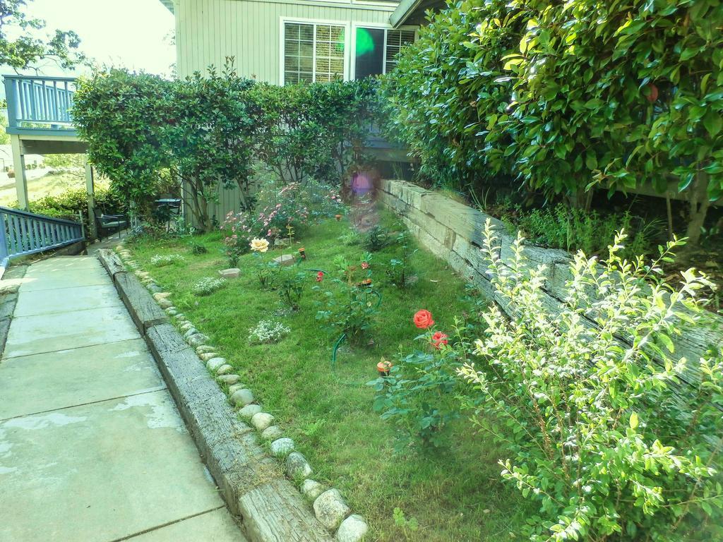 Charming Downstairs Unit Apartment Oakhurst Exterior photo